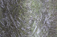 East Tytherton fibreglass roof work